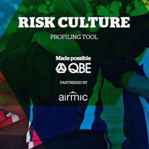 Risk culture profiling toolkit