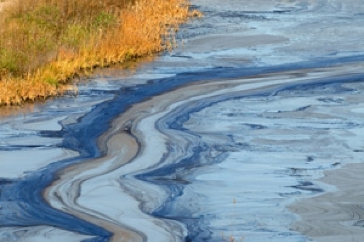 Environmental damage: beware regulatory changes