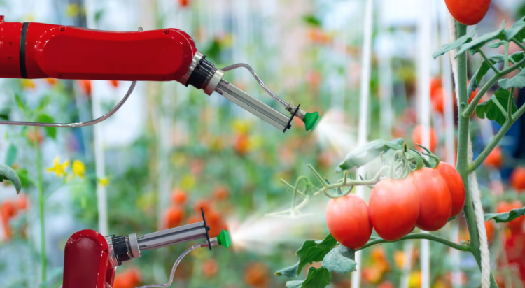 The Future of Food - Balancing Risk and Opportunity Biology Diagrams