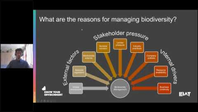 Embedded thumbnail for Airmic LIVE 14 April - Biodiversity risk management