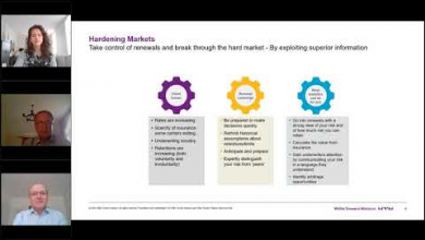 Embedded thumbnail for Risk financing optimisation by using data &amp;amp; analytics, part 1
