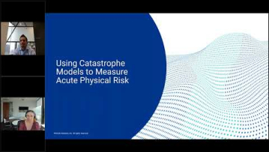 Embedded thumbnail for Assessing the Acute Physical Risk of Climate Change