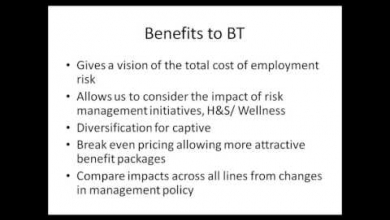Embedded thumbnail for Employee Benefits, part 4 a BT case study 