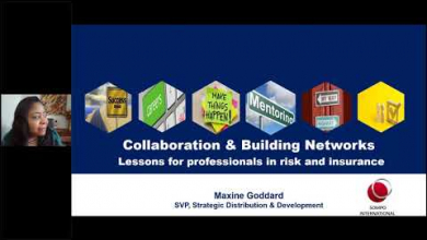 Embedded thumbnail for Collaboration &amp;amp; Building Networks
