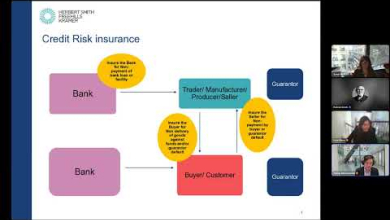 Embedded thumbnail for Academy Workshop - Credit Risk insurance: a ‘go to’ guide