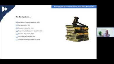 Embedded thumbnail for Ireland webinar series - Ireland’s path to Insurance Reform