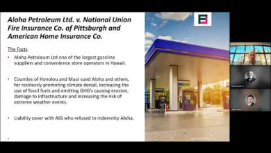 Embedded thumbnail for Academy workshop: Insurance coverage issues in relation to climate risks