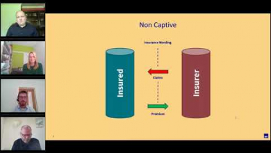 Embedded thumbnail for Captive claims 101