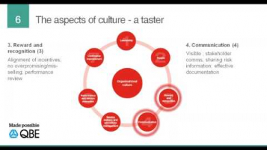 Embedded thumbnail for The risk culture profiling tool 
