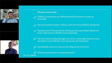Embedded thumbnail for Trade Credit insurance - lessons learnt from the global COVID crisis