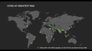 Embedded thumbnail for  WEF Global Risk Report 2019
