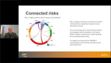 Embedded thumbnail for Emerging and Connected Risks