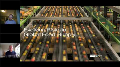 Embedded thumbnail for Supply Chain risk part 2: how can hidden risks be understood?